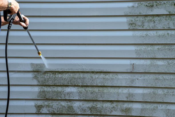 Professional Siding Installation & Repair in Upper Lake, CA